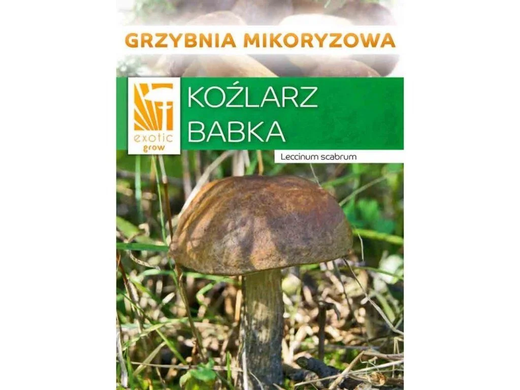 autodily-na-skodu-1202607012130021018951