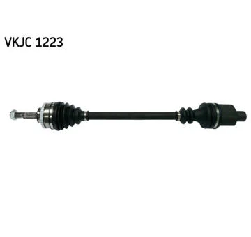 elancar-320260630183718510254