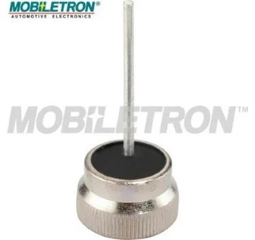 elancar-520260630172902482920