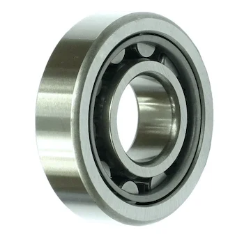 elancar-520260701050450742063
