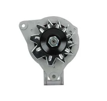 elancar-520260701100226845145