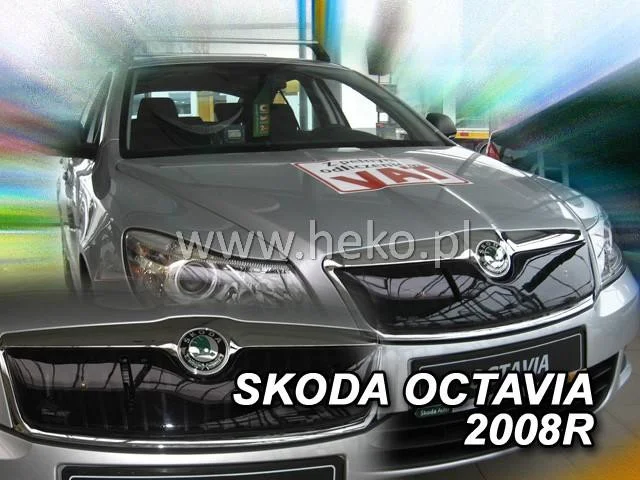 motora-320260630204151553762