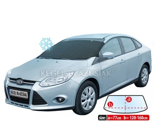motora-320260630213359572097