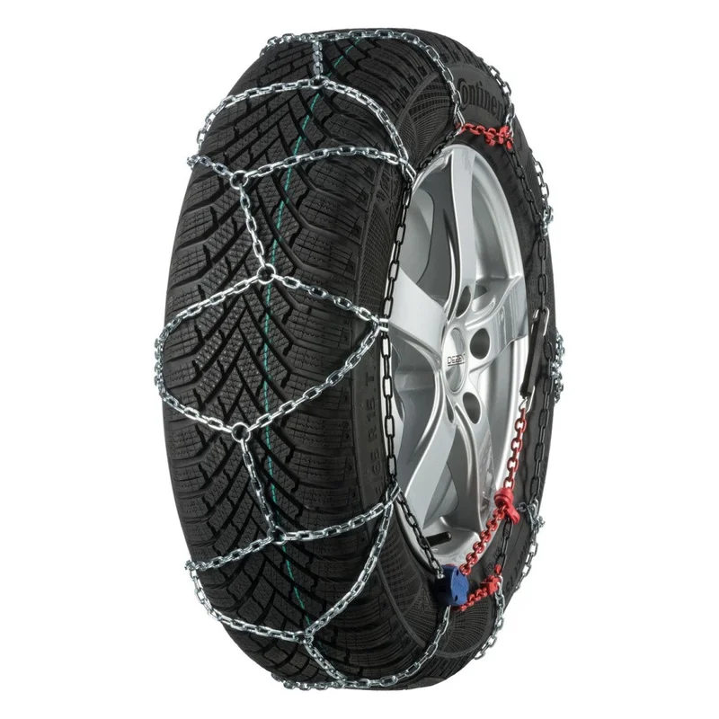 motora-320260630224537599383