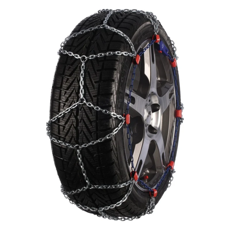 motora-320260630231024608545