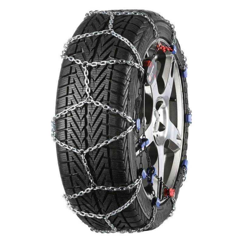 motora-320260630231116608853