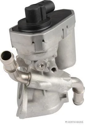 motora-520260630172007479548