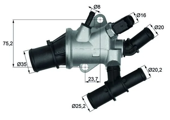 motora-520260630183745510465