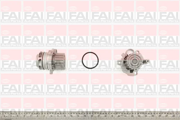 motora-520260630191522524668