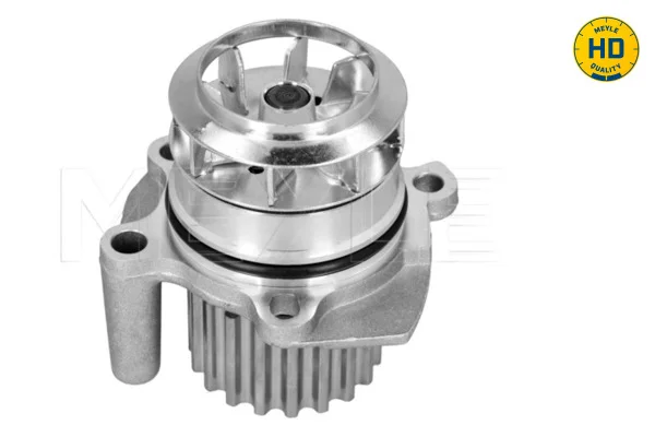 motora-520260630194236533497
