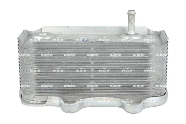 motora-520260630204222553931