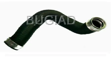 motora-520260701032647700875