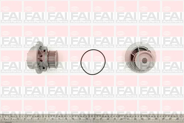motora-520260701044659734246
