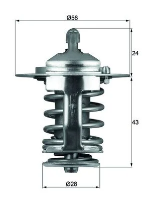 motora-520260701061929769163